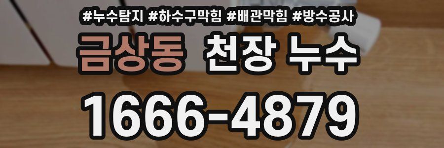 금상동 천장 누수