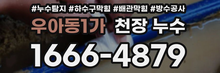 우아동1가 천장 누수