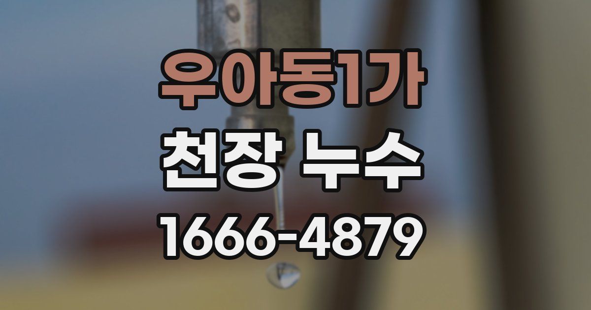 우아동1가 천장 누수