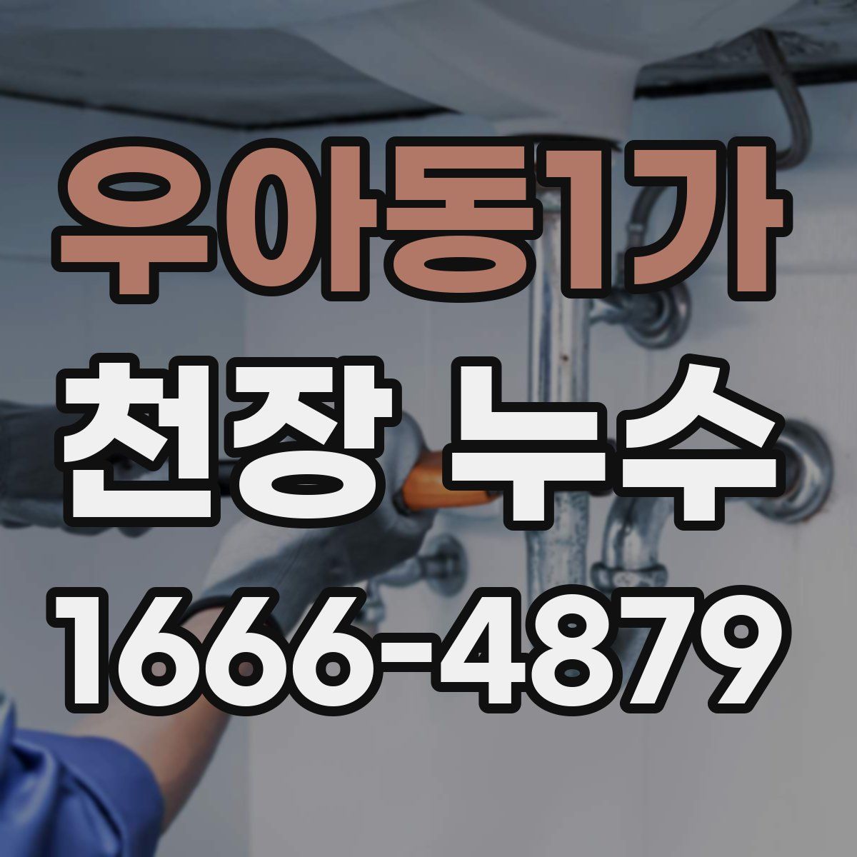 우아동1가 천장 누수