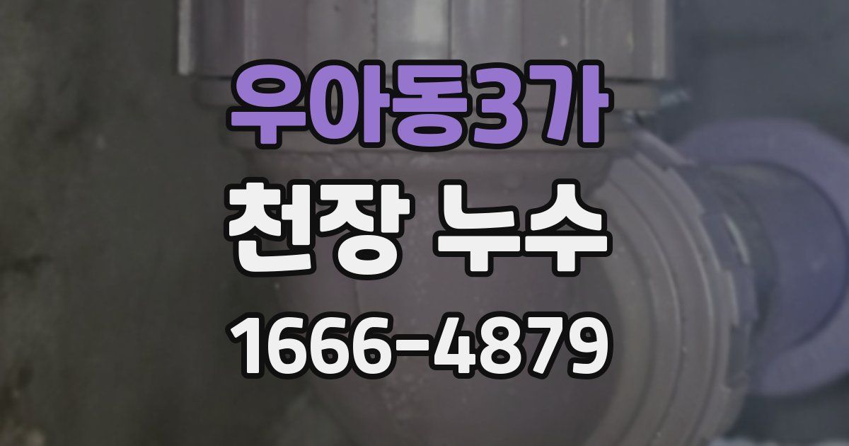 우아동3가 천장 누수