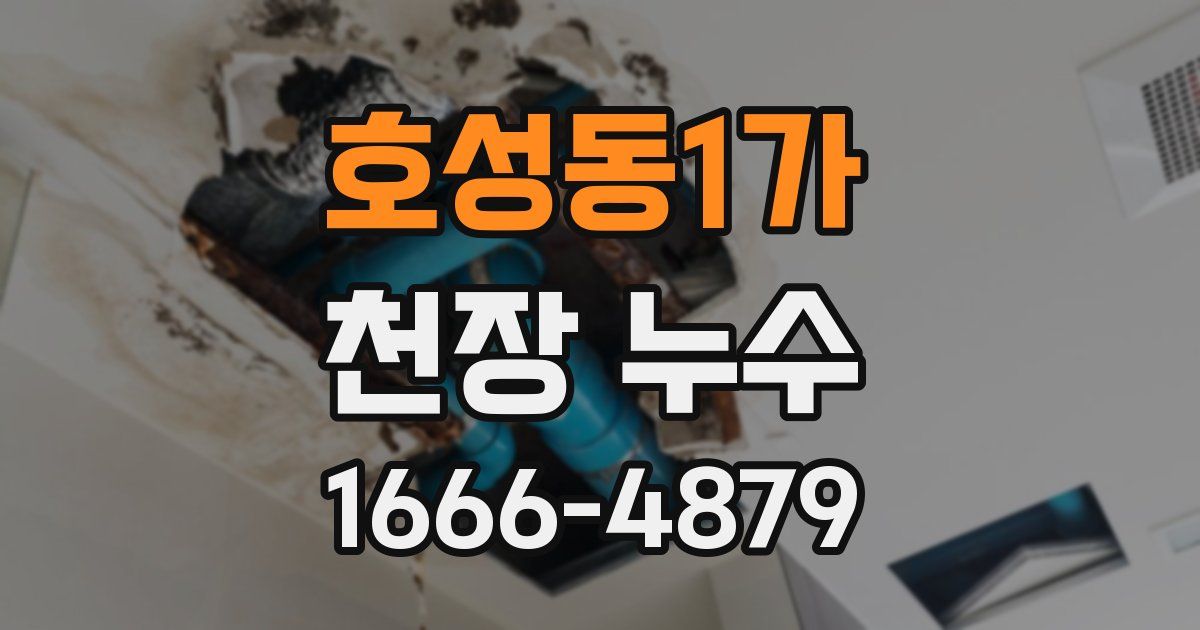 호성동1가 천장 누수