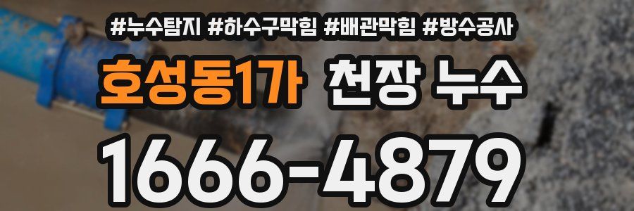호성동1가 천장 누수