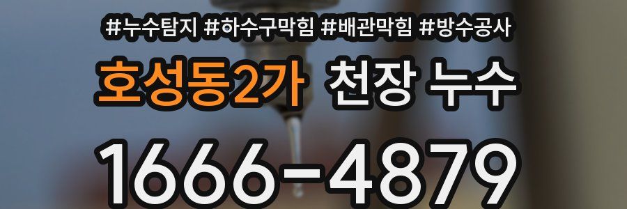 호성동2가 천장 누수