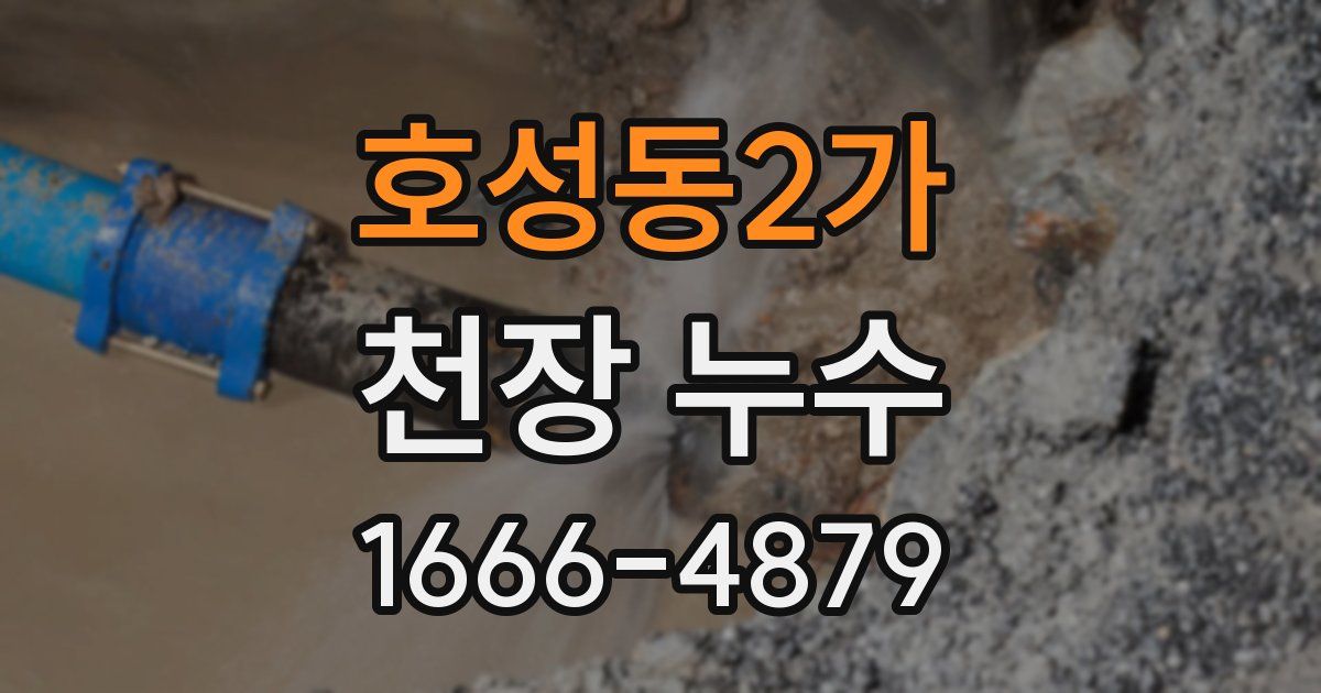 호성동2가 천장 누수