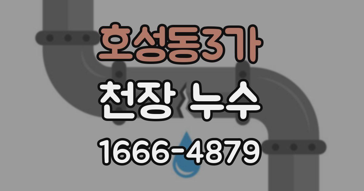 호성동3가 천장 누수