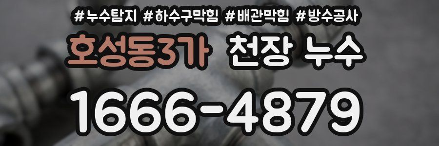 호성동3가 천장 누수