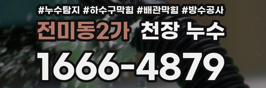 전미동2가 천장 누수
