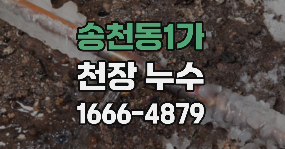 송천동1가 천장 누수