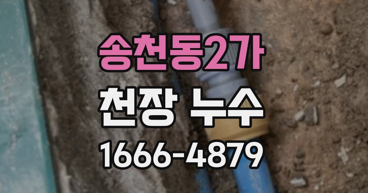 송천동2가 천장 누수
