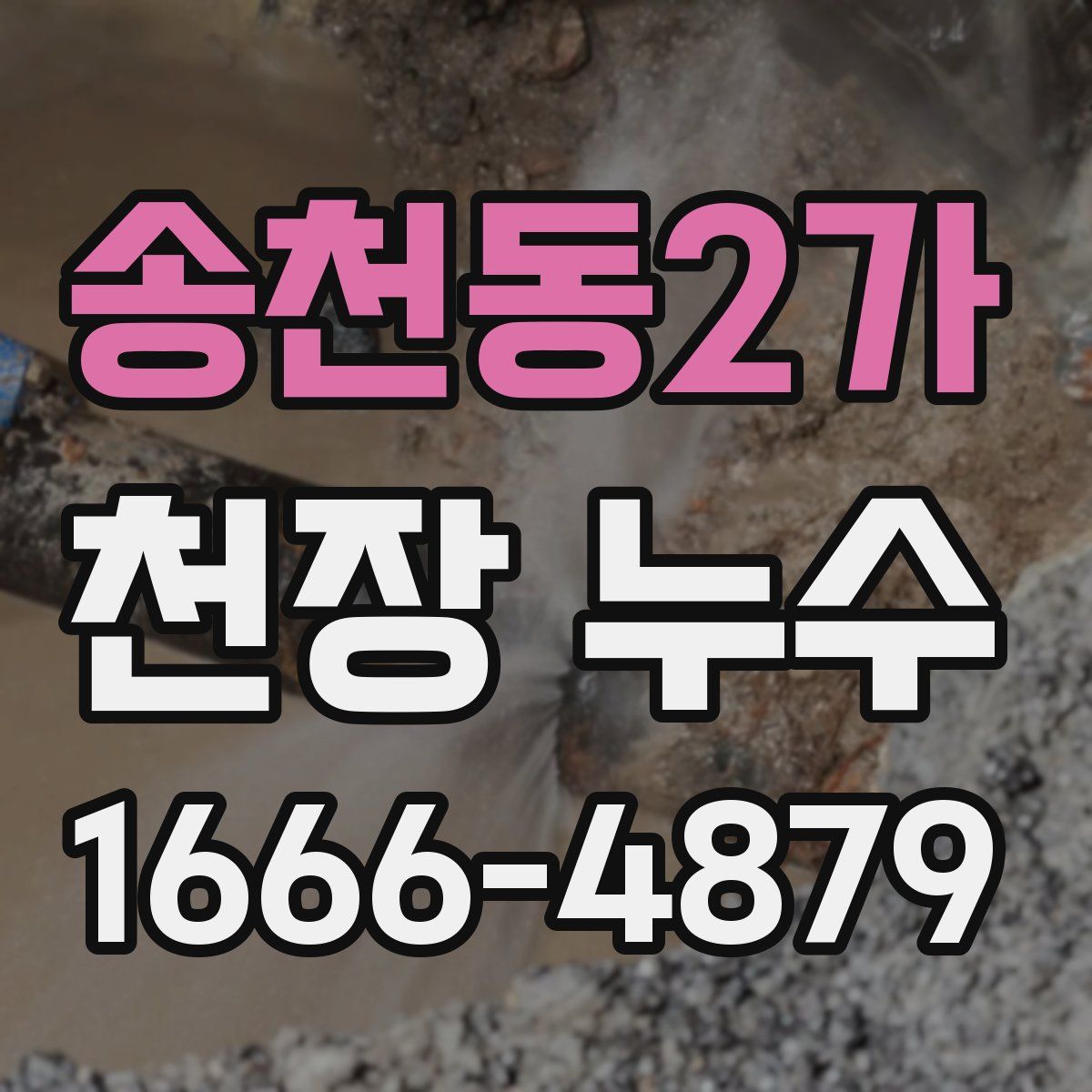 송천동2가 천장 누수