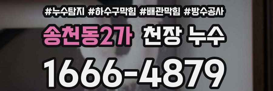 송천동2가 천장 누수