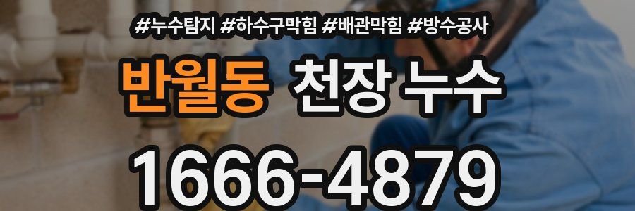 반월동 천장 누수