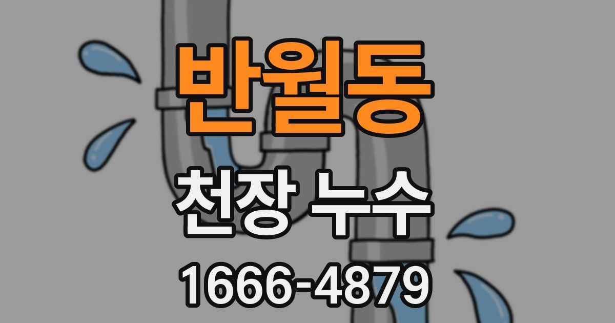 반월동 천장 누수