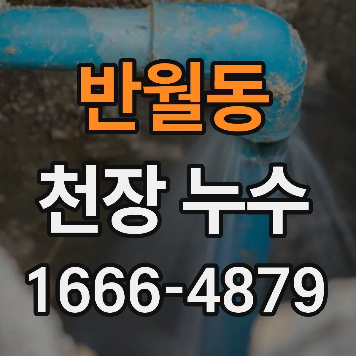 반월동 천장 누수