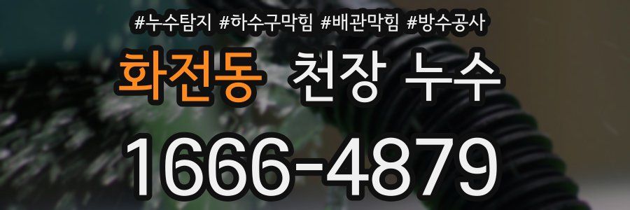 화전동 천장 누수