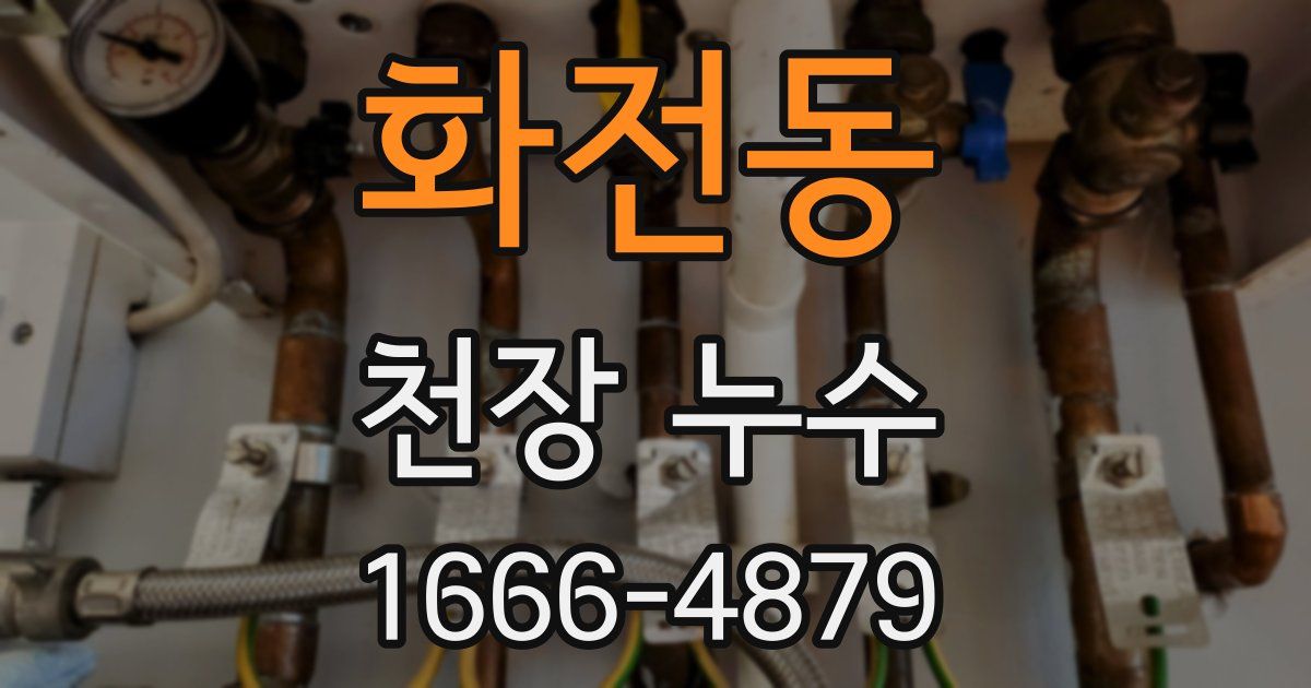 화전동 천장 누수