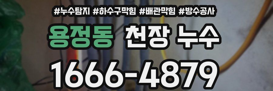 용정동 천장 누수