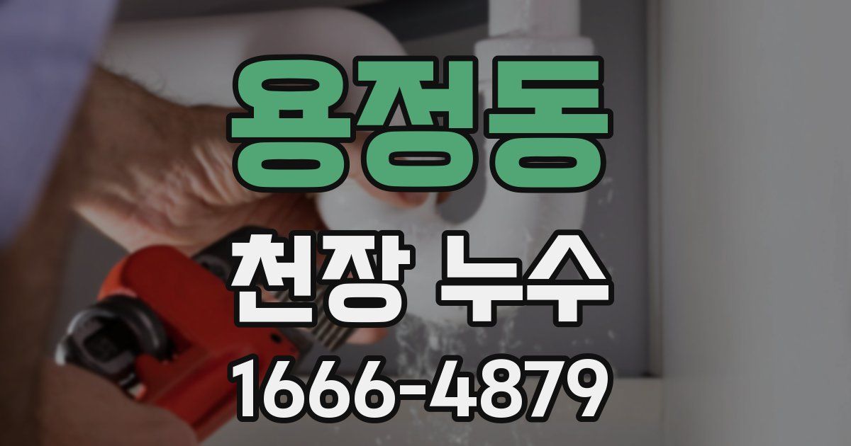 용정동 천장 누수