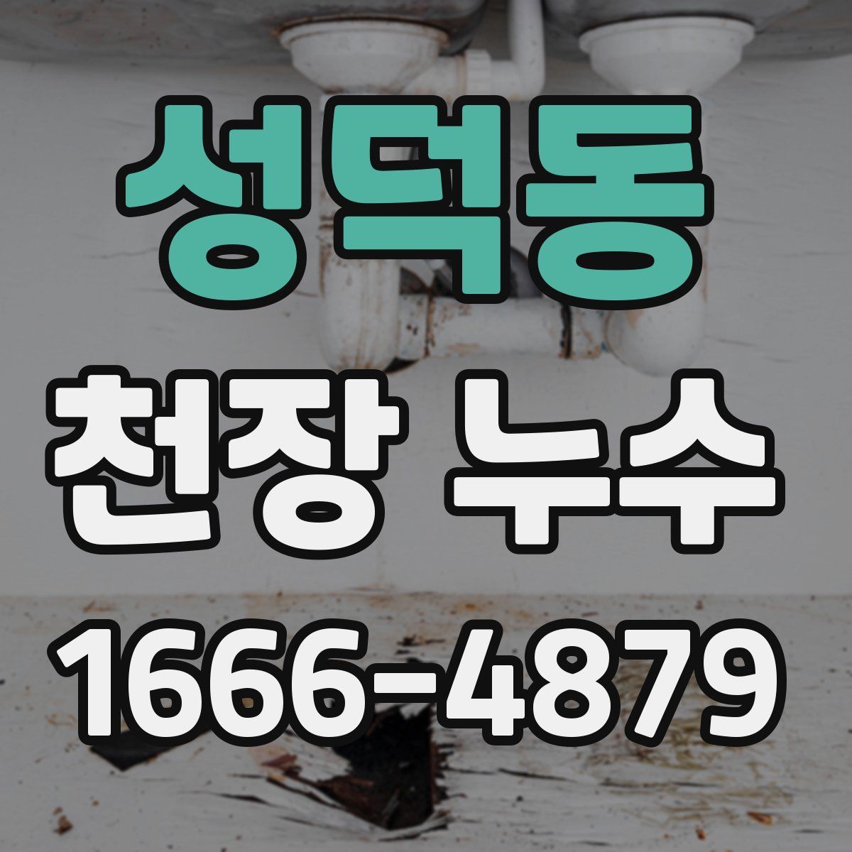 성덕동 천장 누수