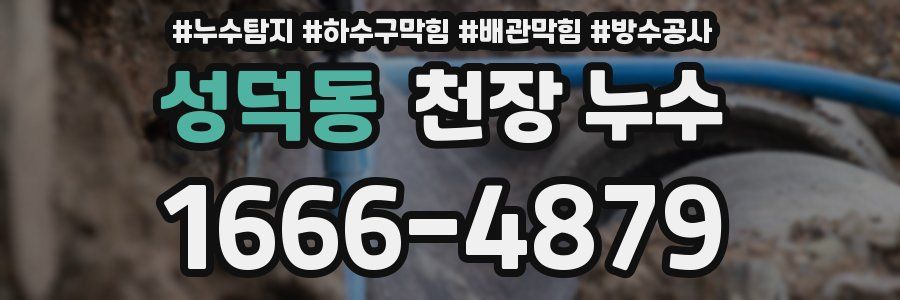 성덕동 천장 누수