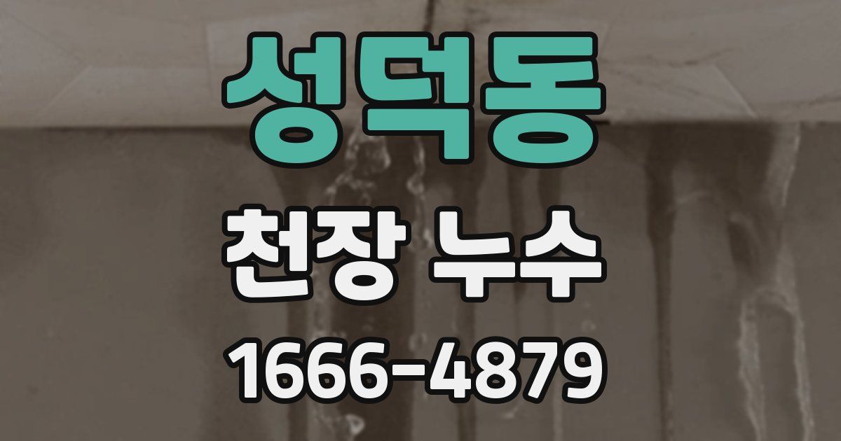 성덕동 천장 누수