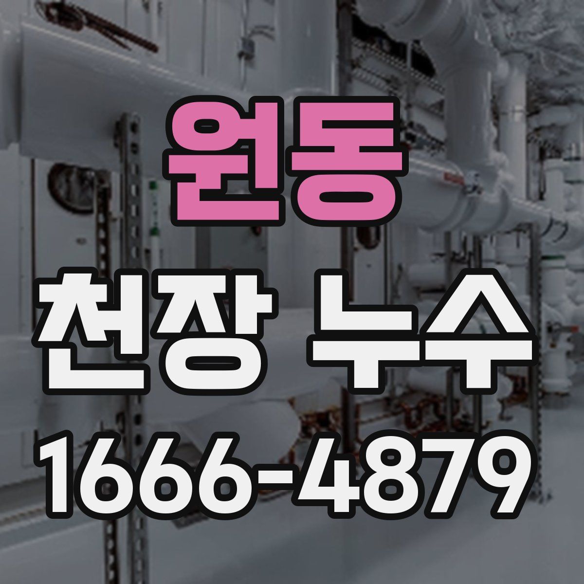 원동 천장 누수