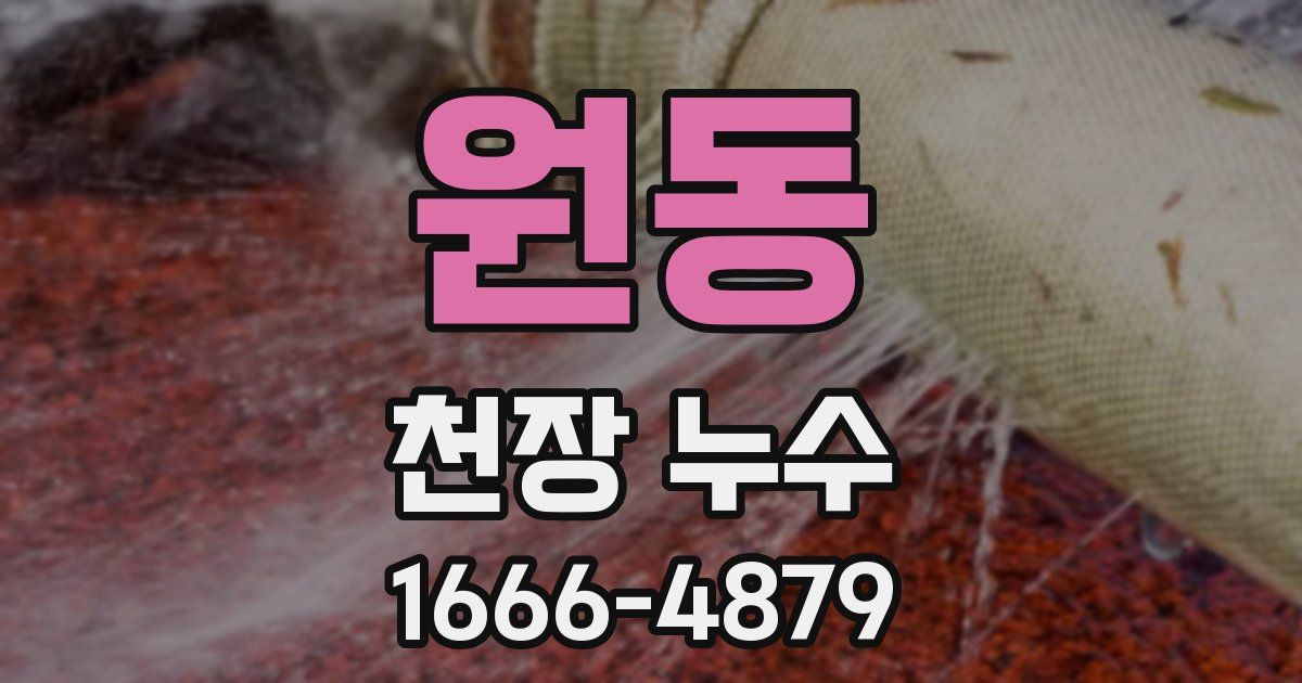 원동 천장 누수