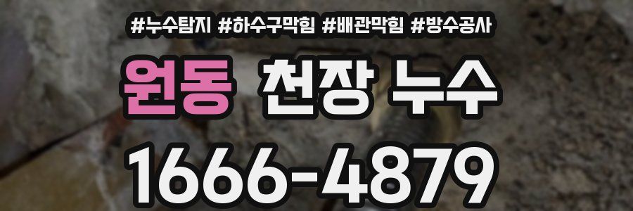 원동 천장 누수