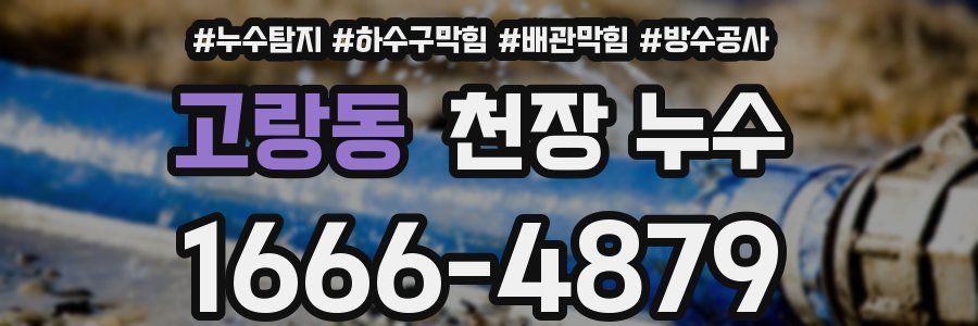 고랑동 천장 누수