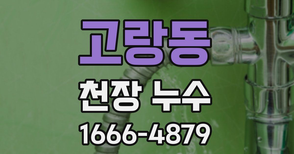 고랑동 천장 누수