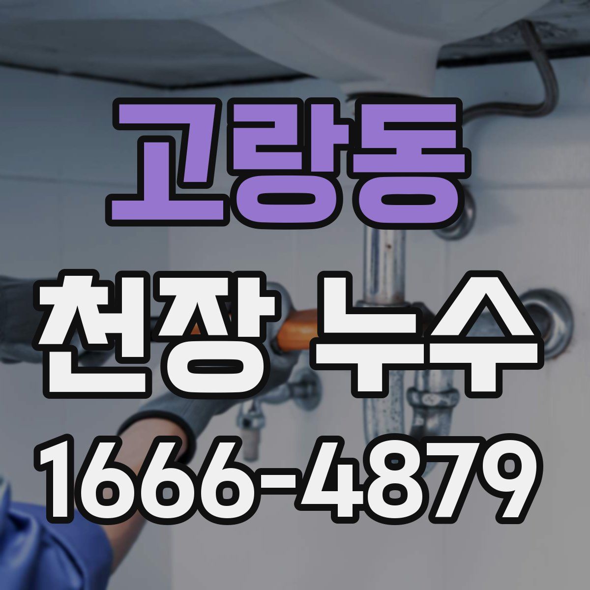 고랑동 천장 누수
