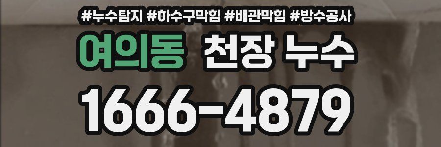 여의동 천장 누수