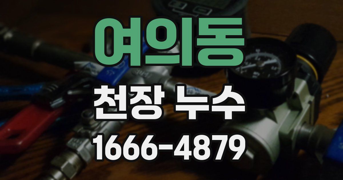 여의동 천장 누수