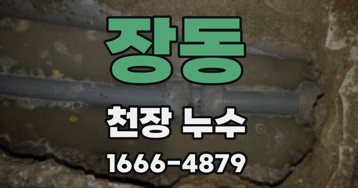 장동 천장 누수