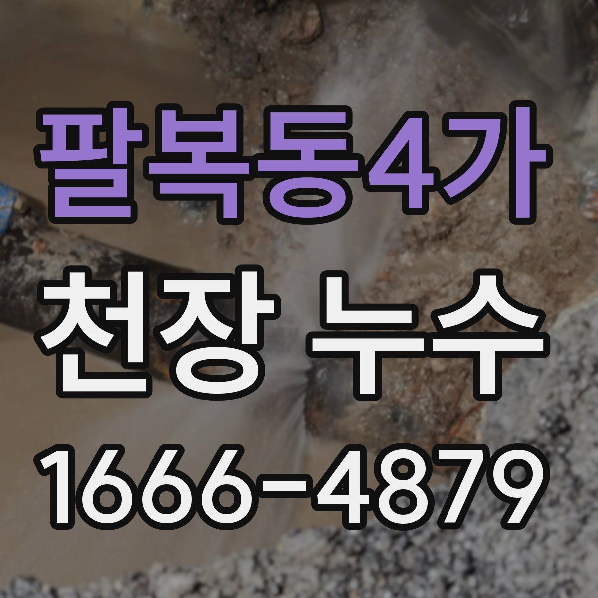 팔복동4가 천장 누수