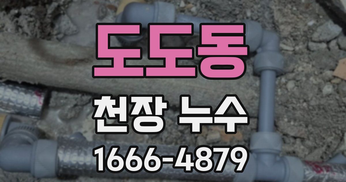 도도동 천장 누수