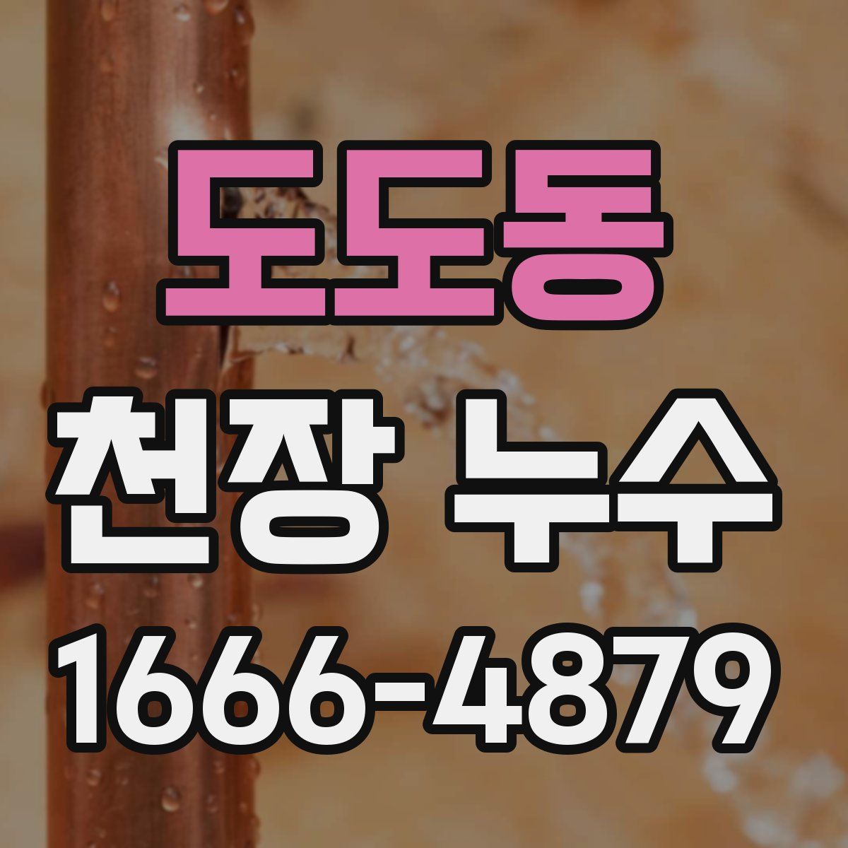 도도동 천장 누수