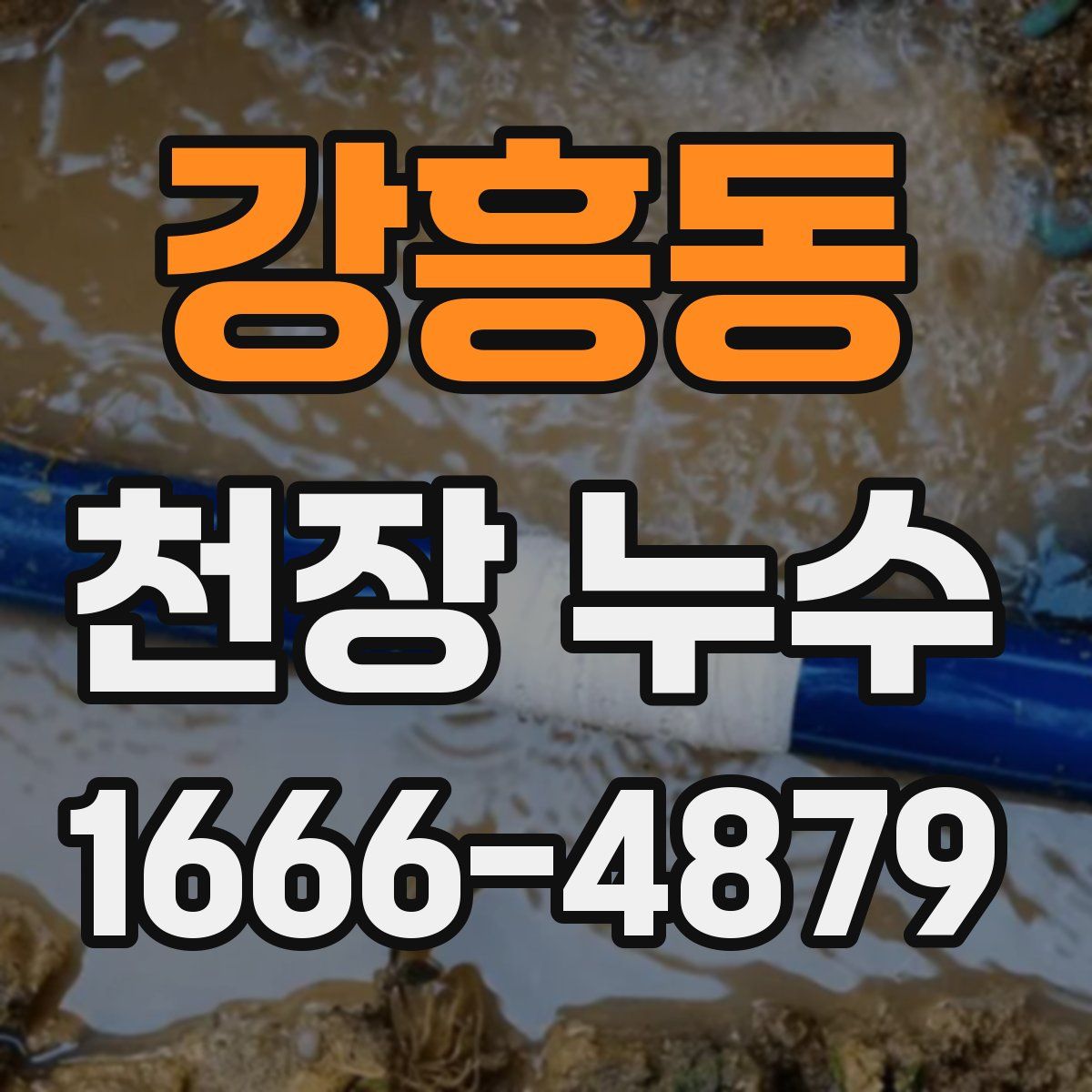 강흥동 천장 누수