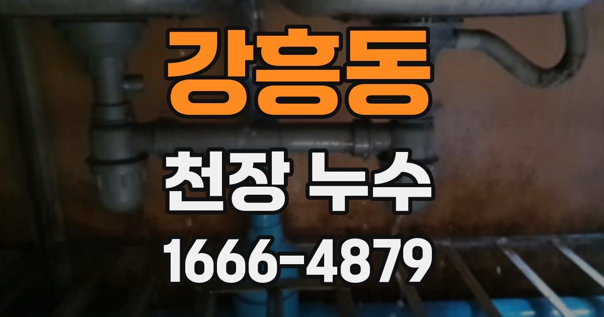 강흥동 천장 누수