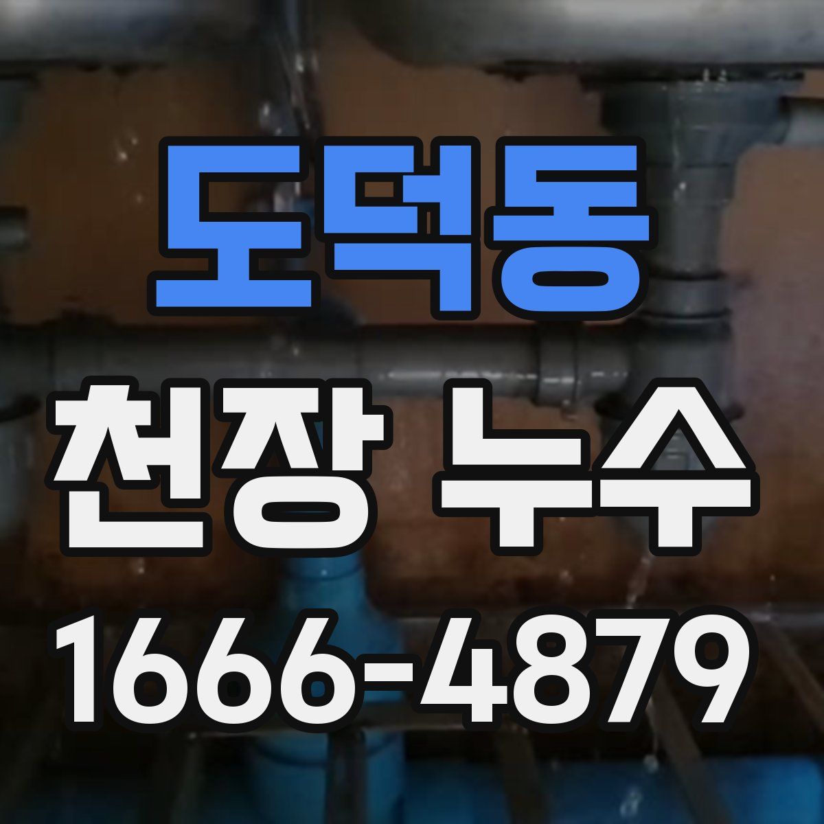 도덕동 천장 누수