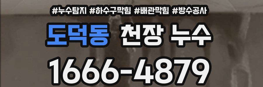 도덕동 천장 누수