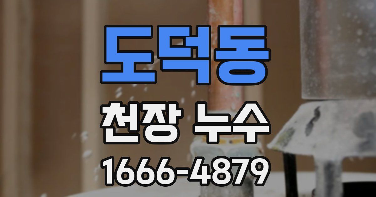 도덕동 천장 누수