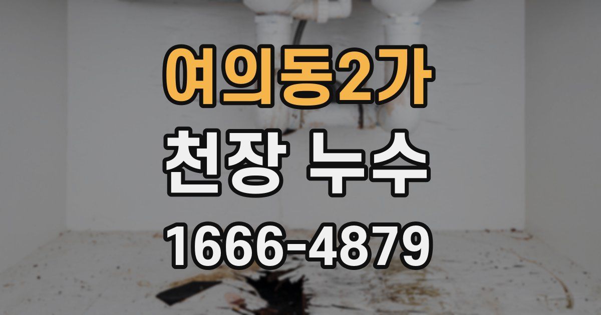 여의동2가 천장 누수