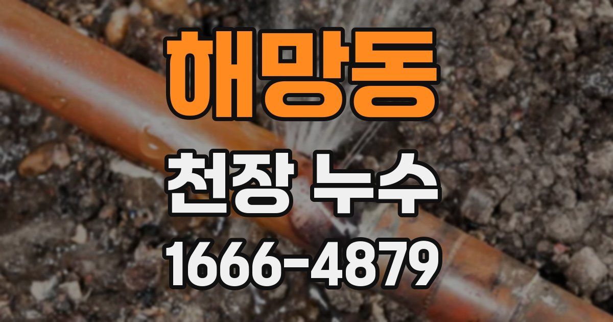 해망동 천장 누수