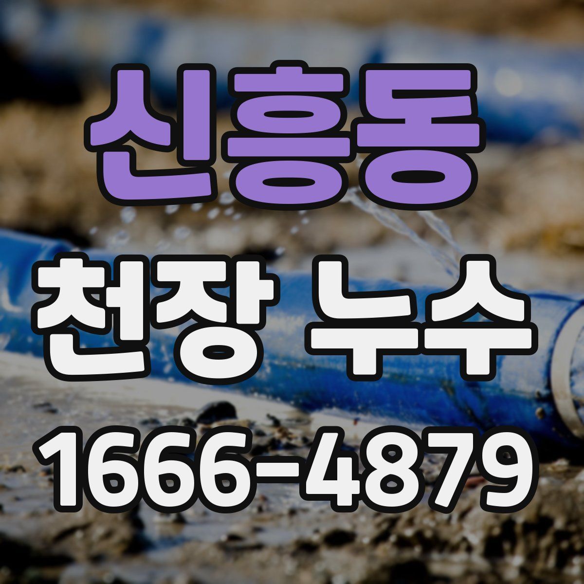 신흥동 천장 누수