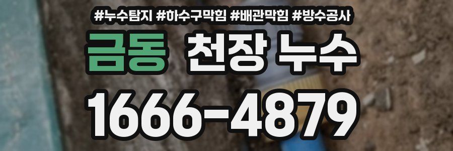 금동 천장 누수