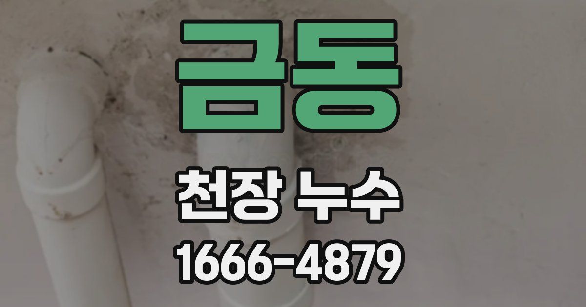 금동 천장 누수