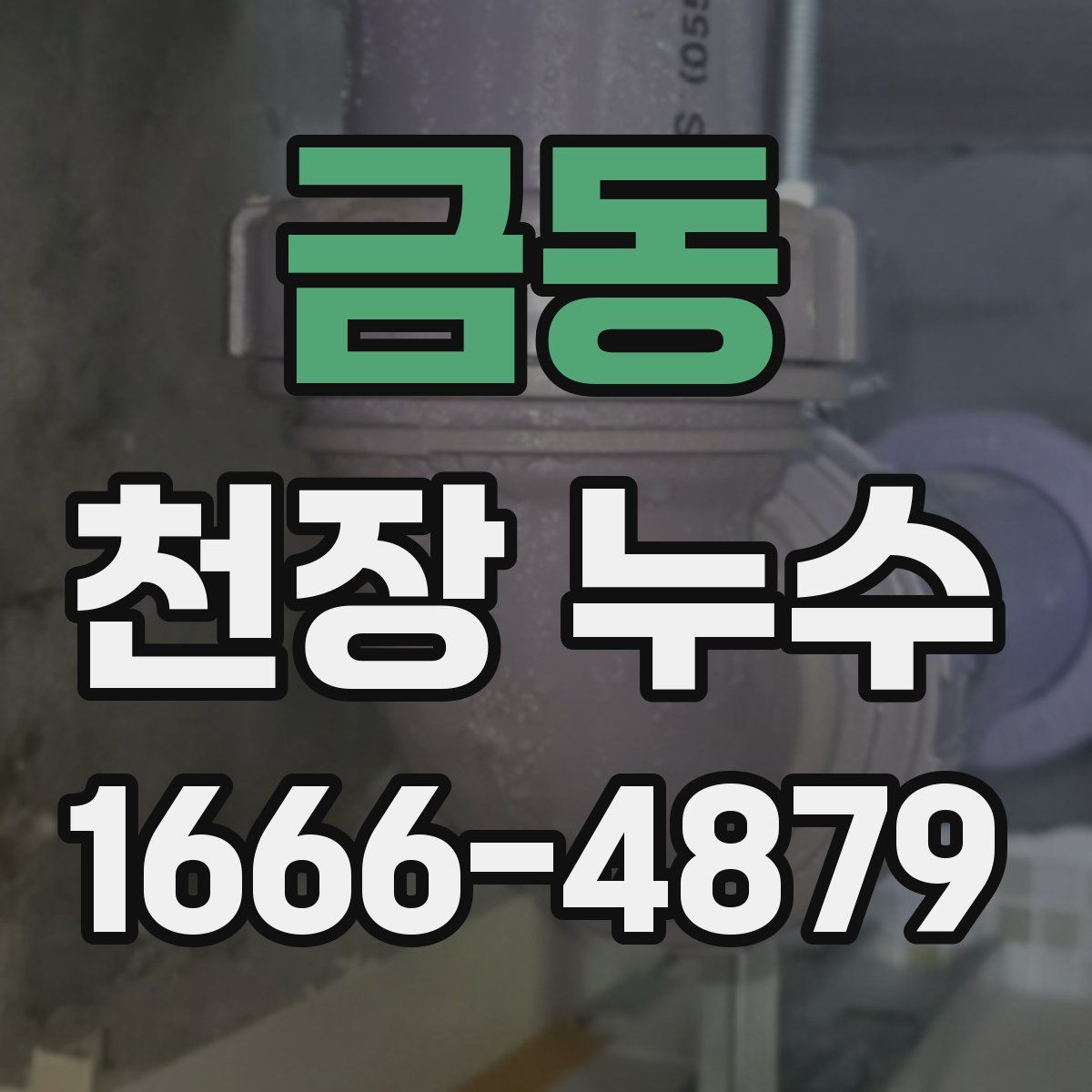 금동 천장 누수