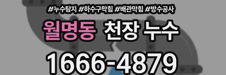 월명동 천장 누수